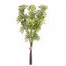 ramalhete semente de eucalipto 34 cm verde escuro 20879277 1 20190926131006