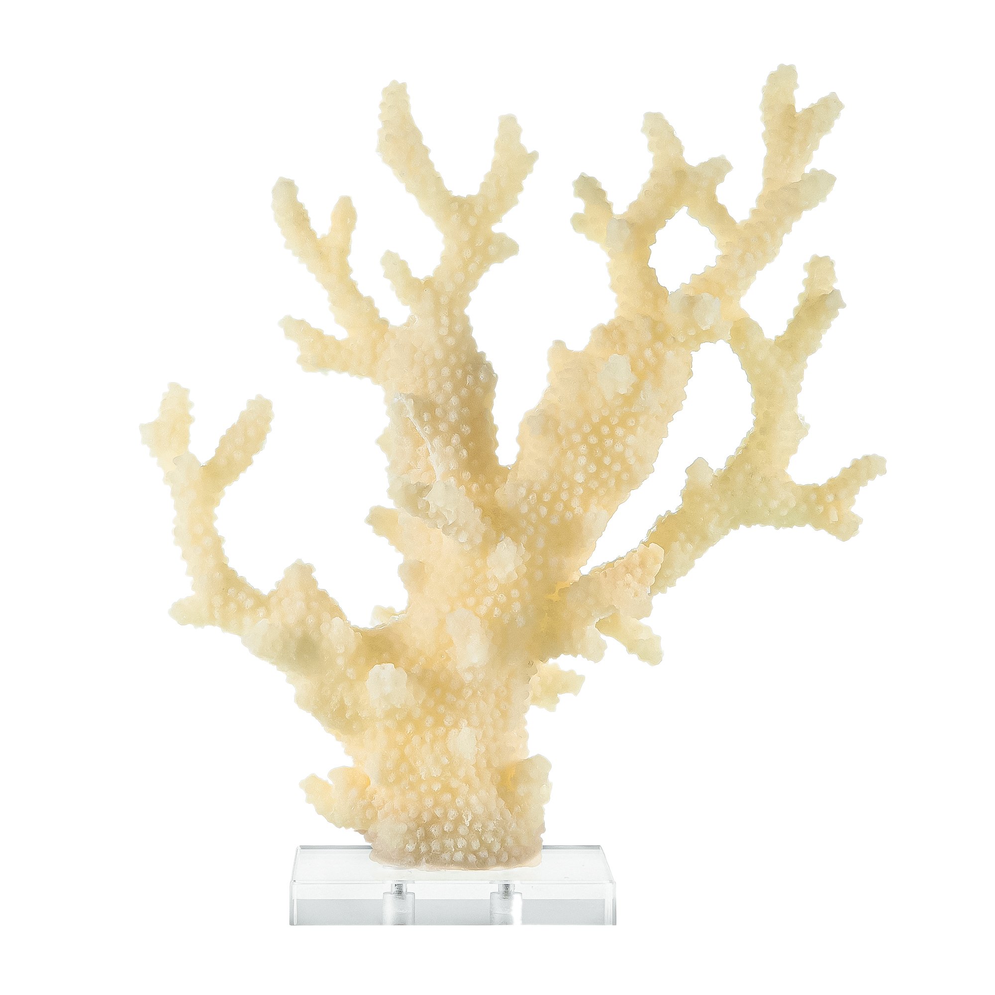 Off-White Resin Coral on Acrylic Base