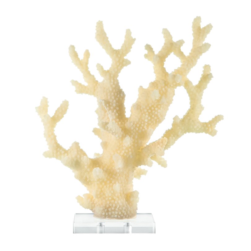 coral decorativo off white_3